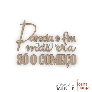 PARECIA O FIM, MAS ERA SÓ O COMEÇO (Escrita) - P