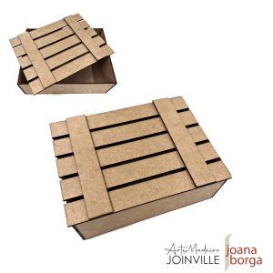 CAIXA RIPADA ( Joana Borga)