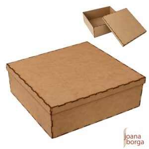 CAIXA TAMPA DE SAPATO 30X30X10CM